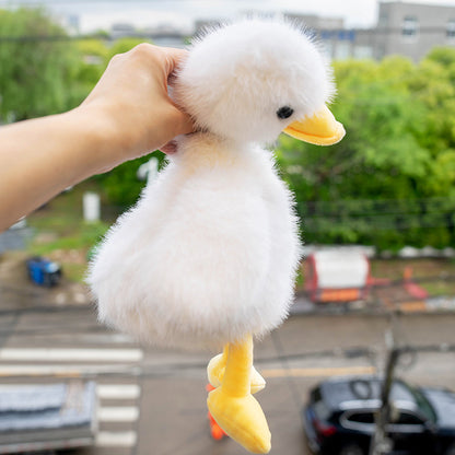 Süße kleine Ente, Spielzeug für Kinder
